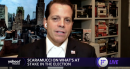 Elections 2020: Anthony Scaramucci predicts Trump will lose Florida