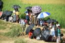 Myanmar harvests abandoned Rohingya fields, raising fears for return