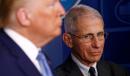 Dr. Fauci warns of 'imported' coronavirus cases once travel ban lifts