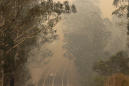 US sends veteran firefighters to battle Australia wildfires