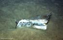 Lost WWII USS Indianapolis Wreckage Finally Uncovered