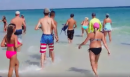 Sharks Caught On Video Swimming Up To Florida Tourists