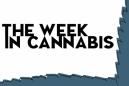 The Week In Cannabis: Aphria Earnings, Canopy's Distribution Deal, And A Big Conference