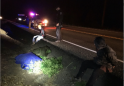 Thieves trying to take marijuana end up with bags full of hemp, Oregon cops say