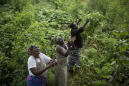 'This is huge': Locust swarms destroy crops in East Africa