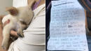 Puppy Found With Heartbreaking Letter in Airport Bathroom: 'My Ex-Boyfriend Kicked My Dog'