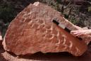 Cliff collapses in Grand Canyon revealing 313 million-year-old footprints, park says