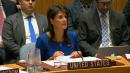 Russia fails in U.N. bid to condemn U.S.-led strikes on Syria