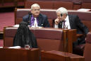An Anti-Muslim Australian Senator Wore a Burqa in Parliament. It Didn't Go Down Well