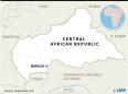 Three Russians 'carrying press cards' killed in Central Africa