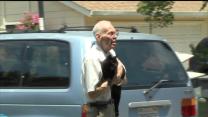 Elderly Couple Scramble To Rescue 19 Cats During Fire