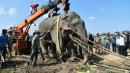 Elephant dies in captivity after killing villagers