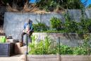 He turned his concrete patio in East L.A. into an edible garden with fruit trees