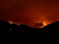 Elderly couple who refused to evacuate home was killed by Colorado wildfire, local authorities say