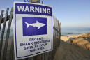 Swimmer Suffers Puncture Wounds in Shark Attack on Cape Cod