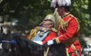 Trooping the Colour: Former Chief of Defence staff Lord Guthrie falls from horse during ceremony