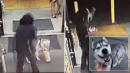 Husky Caught on Surveillance Shoplifting a Loaf of Bread, Then Returning With an Accomplice