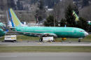 Factbox - Boeing 737 MAX 8 groundings spread across the globe