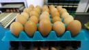 35 sickened in salmonella outbreak linked to massive 200M egg recall