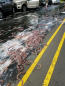 Eels from overturned truck slime cars on Oregon highway