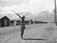 Mountain skeleton may be man from Japanese internment camp