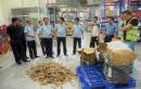 Vietnam seizes nearly a ton of pangolin scales, ivory