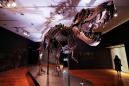 One of largest known T. rex skeletons up for auction at Christie’s