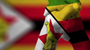 Banned protesters send #ZimbabweanLivesMatter viral