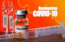 India's clinical research body defends timeline for coronavirus vaccine trials