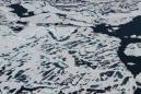 Record-Low Arctic Sea Ice Is the 'New Normal,' NASA Says