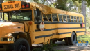 11-year-old steals school bus, leads police on chase before crash, Louisiana cops say