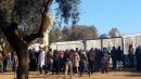 Puglia, riprendono i lavori al cantiere Tap:   manifestanti bloccano camion con ulivi