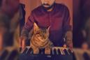 Cat dad uses piano to induce feline bliss