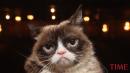 Grumpy Cat, Whose Frown Made the Internet Smile, Dies After Infection