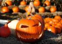 He was drunk and fighting with his girlfriend. Then out came the pumpkin, police say