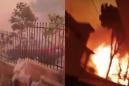 Terrifying first-person footage shows just how devastating the wildfires in Greece are